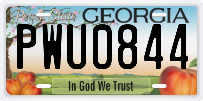 GA license plate PWU0844