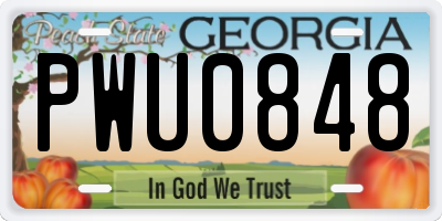 GA license plate PWU0848