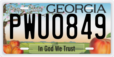 GA license plate PWU0849