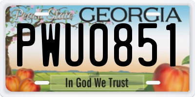 GA license plate PWU0851