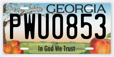 GA license plate PWU0853