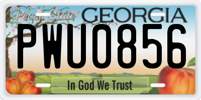 GA license plate PWU0856
