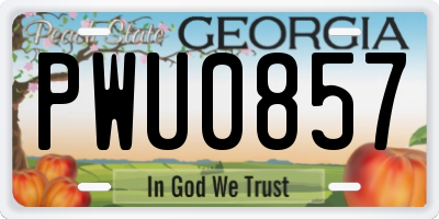 GA license plate PWU0857