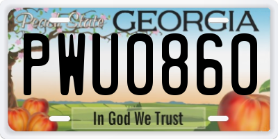 GA license plate PWU0860