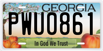 GA license plate PWU0861