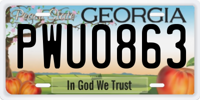 GA license plate PWU0863