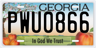 GA license plate PWU0866