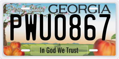 GA license plate PWU0867