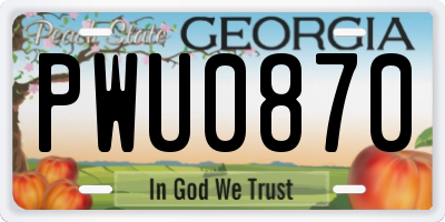 GA license plate PWU0870
