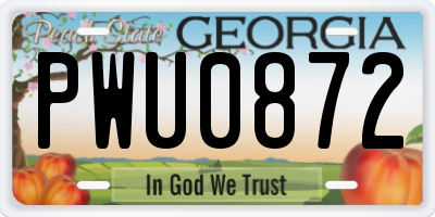 GA license plate PWU0872