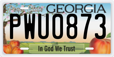 GA license plate PWU0873