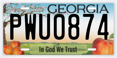 GA license plate PWU0874