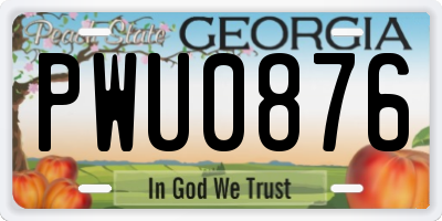 GA license plate PWU0876