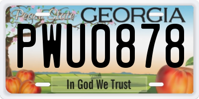 GA license plate PWU0878