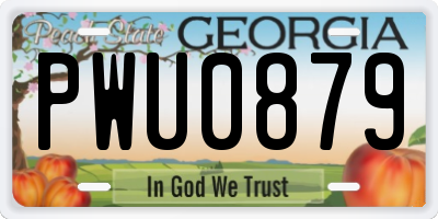 GA license plate PWU0879