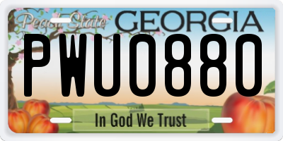GA license plate PWU0880