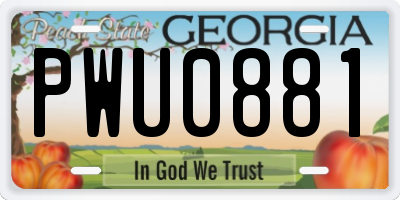 GA license plate PWU0881