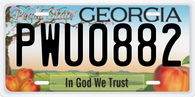 GA license plate PWU0882