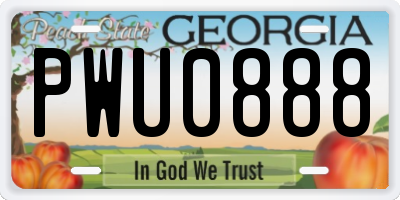 GA license plate PWU0888