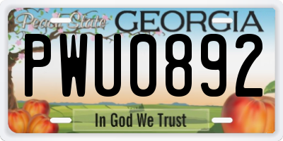 GA license plate PWU0892