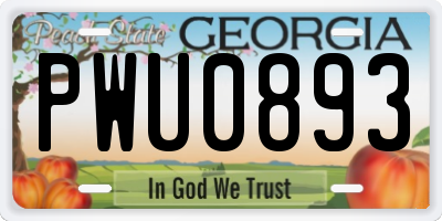 GA license plate PWU0893