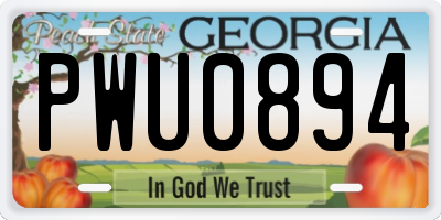 GA license plate PWU0894