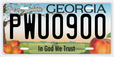 GA license plate PWU0900