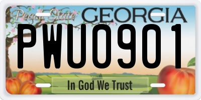 GA license plate PWU0901