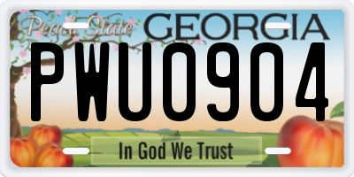 GA license plate PWU0904