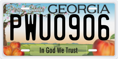 GA license plate PWU0906