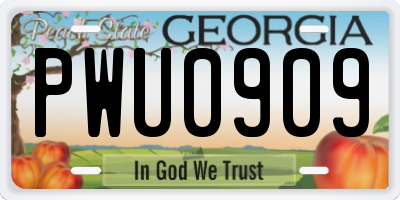 GA license plate PWU0909