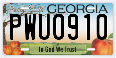 GA license plate PWU0910