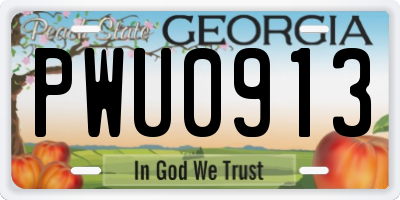 GA license plate PWU0913