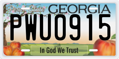 GA license plate PWU0915