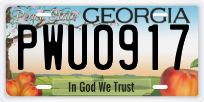 GA license plate PWU0917