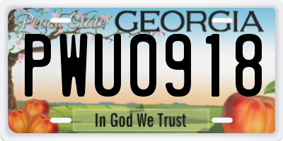 GA license plate PWU0918