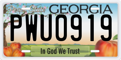 GA license plate PWU0919