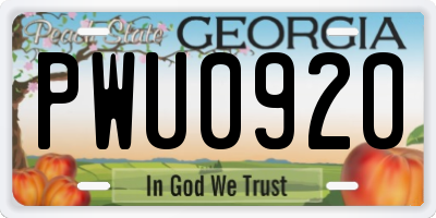 GA license plate PWU0920