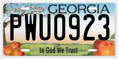GA license plate PWU0923
