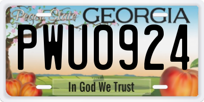 GA license plate PWU0924