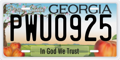 GA license plate PWU0925