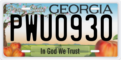 GA license plate PWU0930