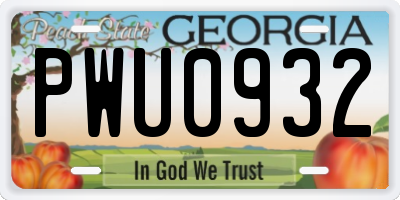 GA license plate PWU0932