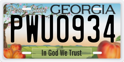 GA license plate PWU0934