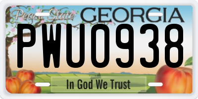 GA license plate PWU0938
