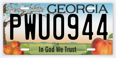 GA license plate PWU0944