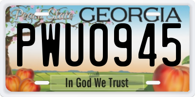 GA license plate PWU0945