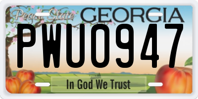 GA license plate PWU0947