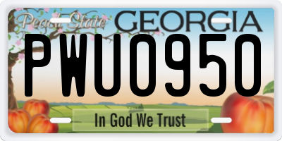 GA license plate PWU0950