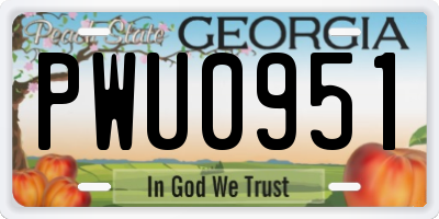 GA license plate PWU0951